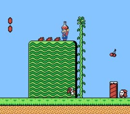 Super Mario Advance - Super Mario USA + Mario Brothers